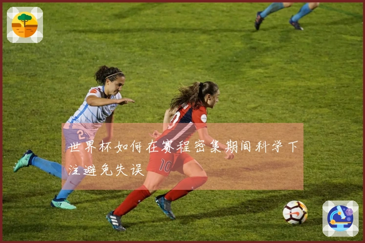 世界杯如何在赛程密集期间科学下注避免失误