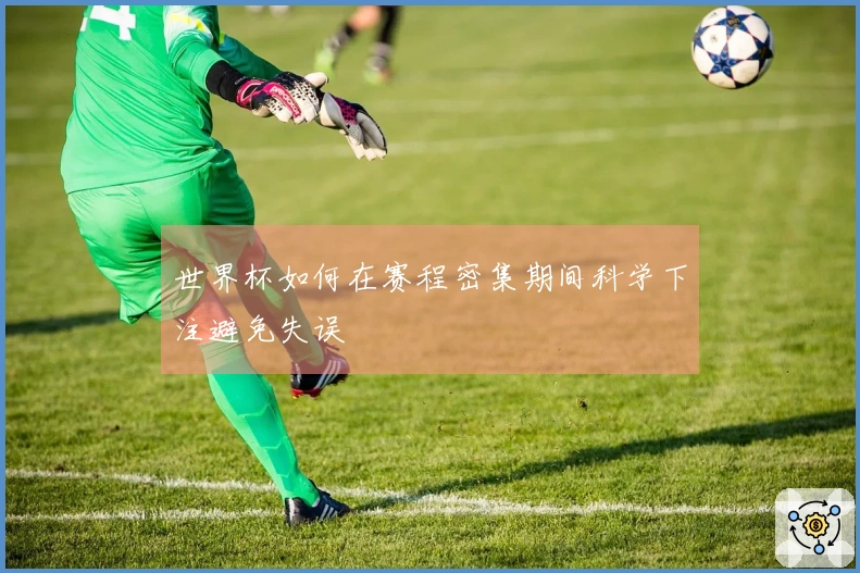 世界杯如何在赛程密集期间科学下注避免失误