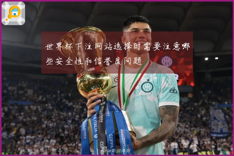 世界杯下注网站选择时需要注意哪些安全性和信誉度问题