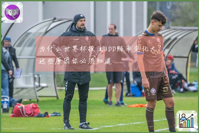 为什么世界杯投注app赔率变化大？这些原因你必须知道